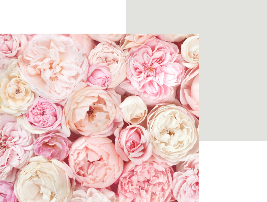 rosas